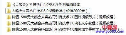 大熊会抖音热门技术2.0-5.0全套教程-网赚项目