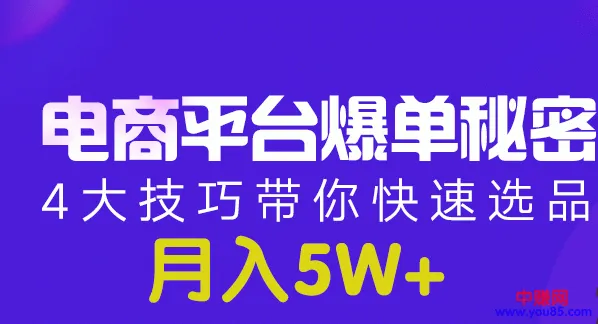 月增收更多！电商平台的秘密武器：四大热门选品技巧-网赚项目