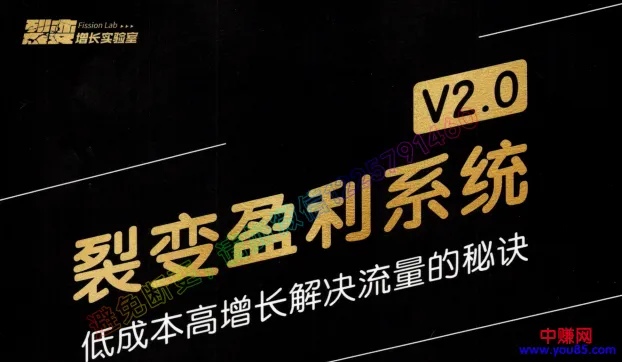 低成本高增长策略助力流量提升：揭秘裂变盈利系统V2.0盈利之道-网赚项目