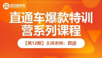 西安排名爆款特训营录播课程第12期直通车爆款特训营-路遥（完结）-网赚项目