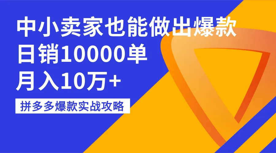 爆款打造实战：中小卖家如何做到日均销量破千，月收入过*万-网赚项目