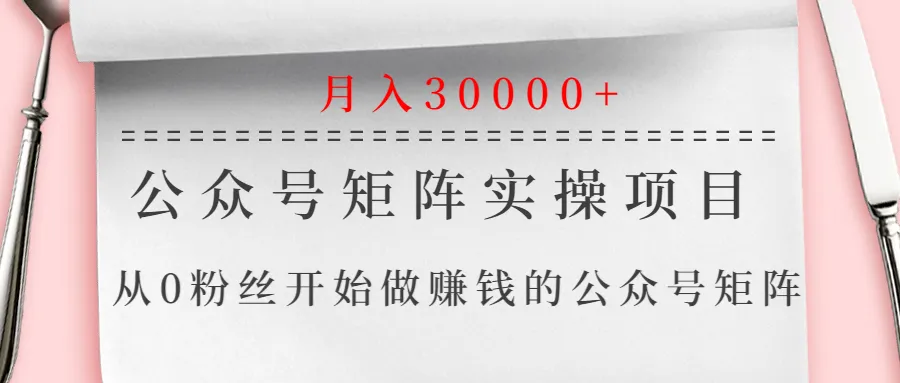 零基础打造月增收更多的公众号矩阵：轻松实现被动收入-网赚项目