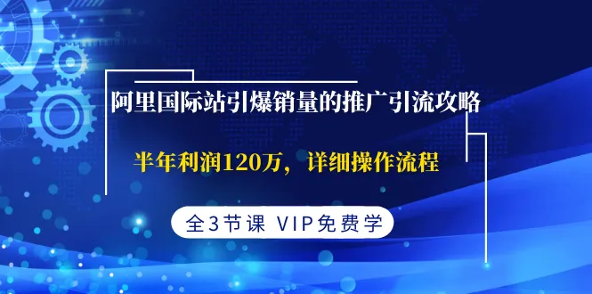 阿里巴巴国际站爆款销售引流攻略：半年度实现利润更多！-网赚项目