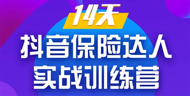 零基础掌握抖音营销技巧：14天实战培训成就爆款-网赚项目