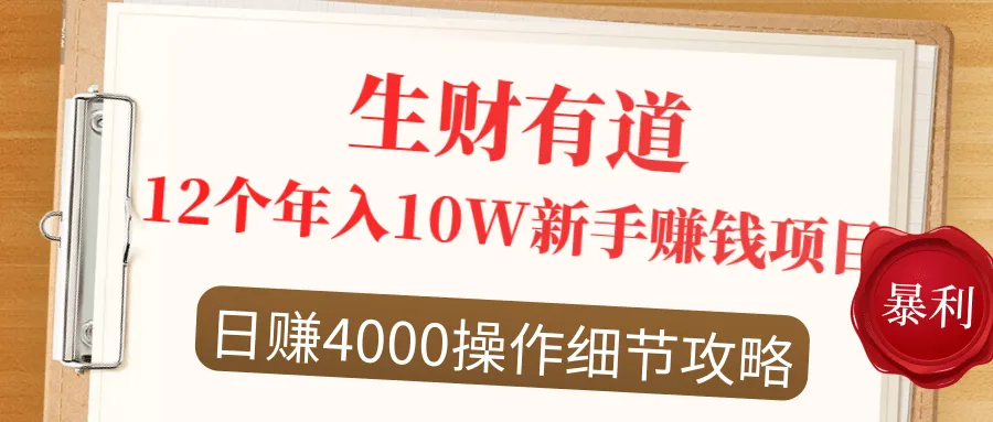 新手一年收入*万：12个月实现年入更多*元的目标，每日可收益更多元-网赚项目