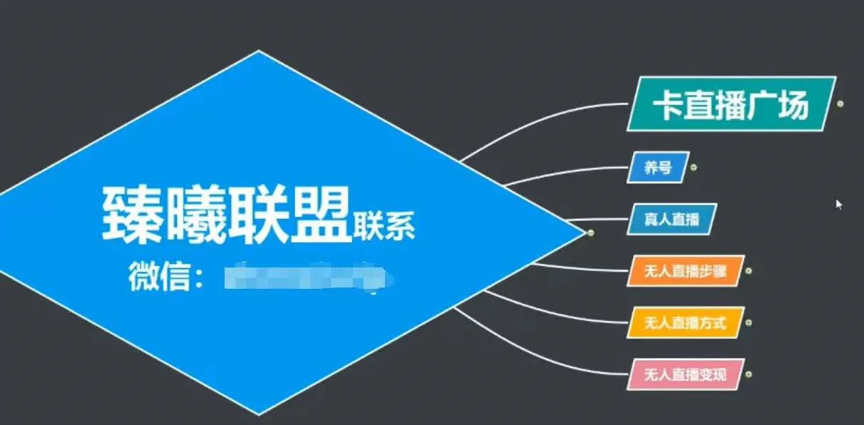 臻曦联盟：万字指南！掌握万人瞩目的无人机直播核心技术-网赚项目