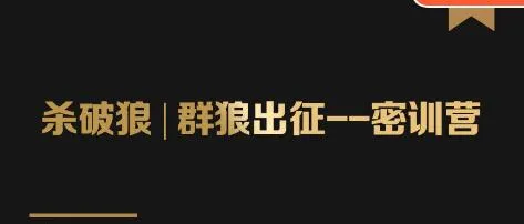 实战秘籍狼团密训营：2期解锁赚钱方法，打造专属价值库-网赚项目