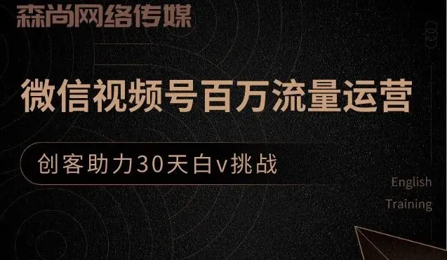 创客江湖录微信视频号*万流量运营  399元助力30天白V挑战-网赚项目