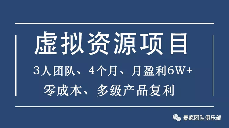 暴疯团队仅用4个月实现月盈利更多，3人打造的高客单价虚拟资源共享平台-网赚项目