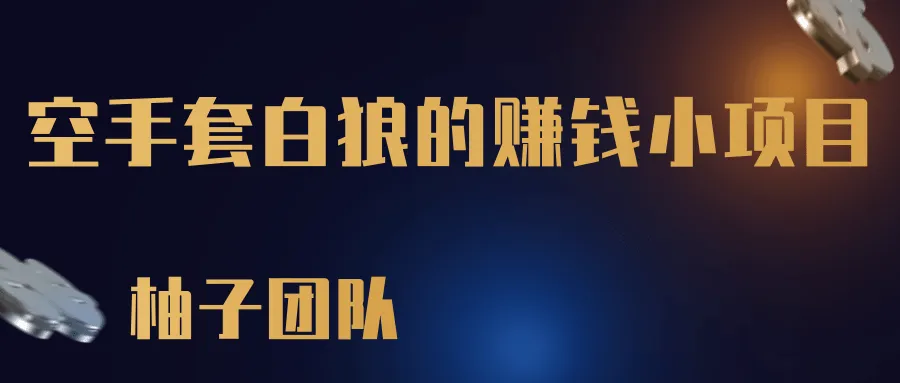 零投入、轻松操作！揭秘如何利用短视频平台快速赚取更多利润的神秘赚钱秘籍-网赚项目