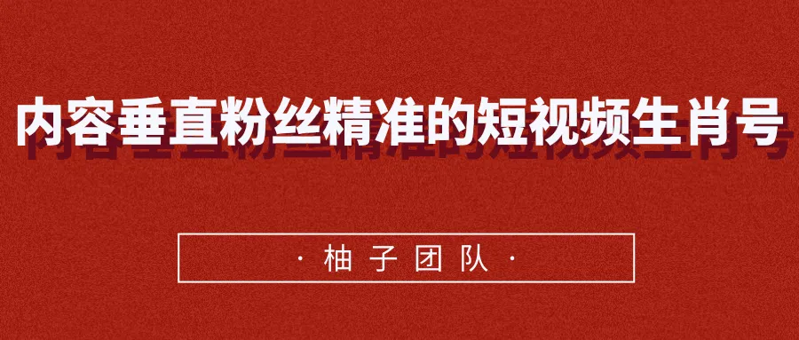 生肖号运营指南：轻松月增更多-网赚项目