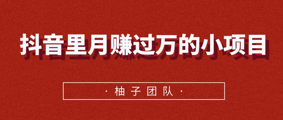 月增*元！抖音热门小项目-网赚项目