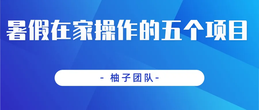 在家就能实现的五个赚钱项目：稳定日收入不断攀升 ，抓住这个机会-网赚项目