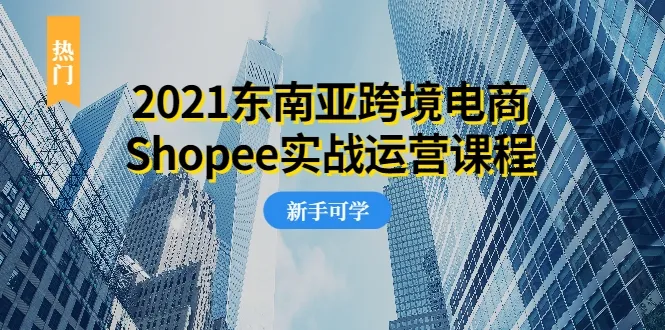 0投资|无需经验|实操指导：2021年东南亚电商Shopee实战运营课程-网赚项目