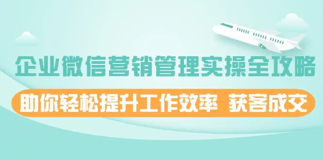 企业微信营销实战指南：全面掌握客户获取与交易技巧-网赚项目