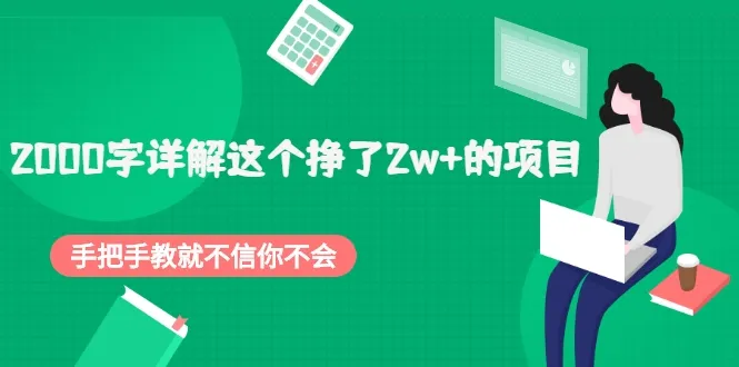 月增*元：揭秘如何打造价值2W的盈利项目-网赚项目