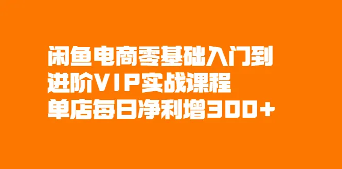 零基础学闲鱼电商：VIP实战课程助你轻松上手-网赚项目