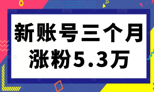 新手小红书号如何快速增粉？-网赚项目