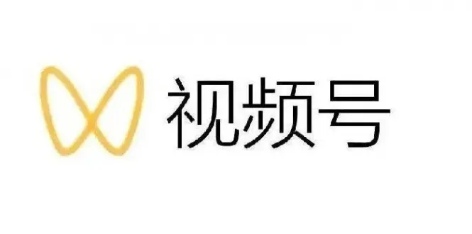 揭秘视频号：变现新玩法与成功策略【视频课程解析】-网赚项目