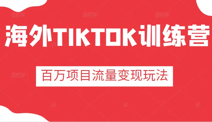 TIKTOK培训 |  抖音海外流量变现玩法-网赚项目