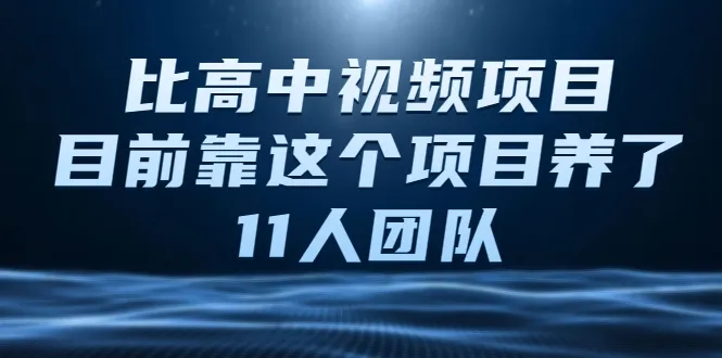 掌握中视频项目：实战教程揭秘变现之道-网赚项目