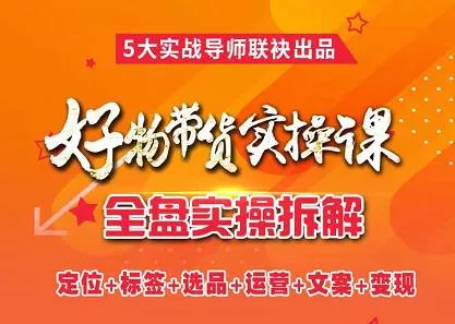 抖音电商实战课程：全面解析抖音爆款账号运营策略-网赚项目