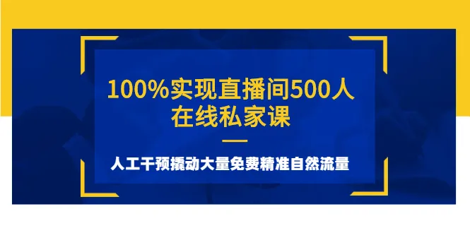 500人同时在线学习：揭秘如何利用人工干预打造免费精准自然流量的成功案例-网赚项目