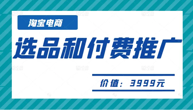 打造成功淘宝电商：精选商品与付费推广秘籍-网赚项目