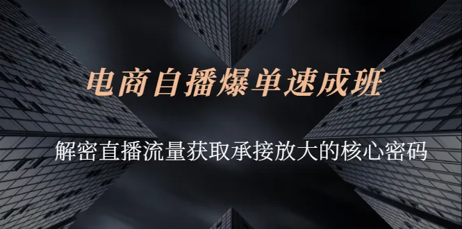 电商自播爆单秘籍：快速掌握流量获取与放大技巧-网赚项目