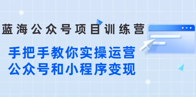 公众号运营 小程序变现：实战营-网赚项目