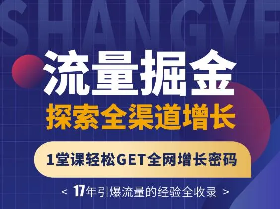 揭秘全渠道增长密码：流量掘金实战课程解析-网赚项目