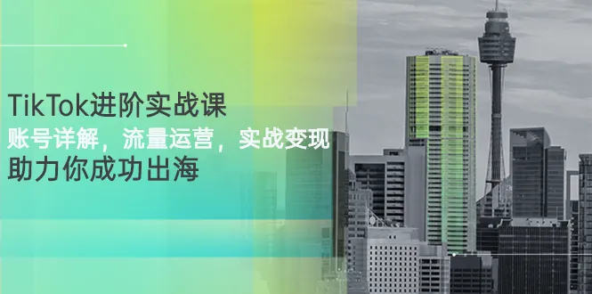 TikTok实战课程：全面掌握账号、流量、变现攻略，助您海外发展-网赚项目