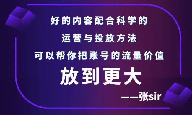 张Sir流量增长课：告别无效引流，掌握精准营销策略-网赚项目