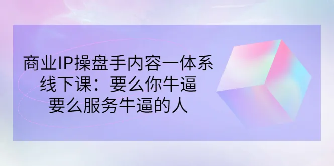 成为商业IP操盘手：解锁成功之路-网赚项目