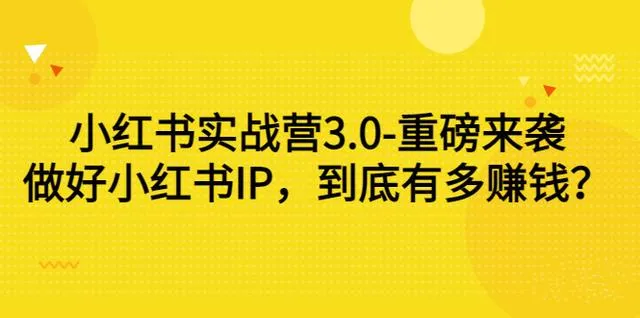 成为小红书IP达人：揭秘流量变现的新商机-网赚项目