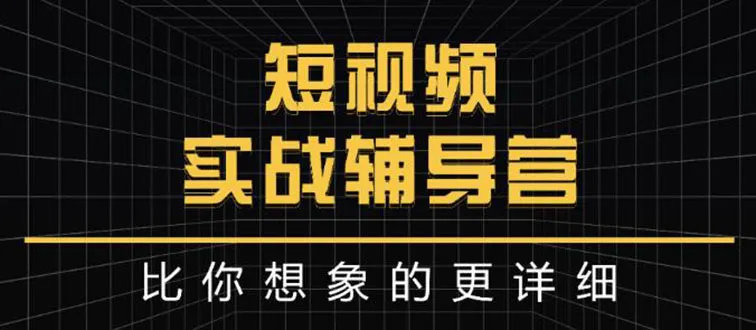 从0到日收入更多万，自媒体大咖亲授短视频赚钱实战秘籍-网赚项目