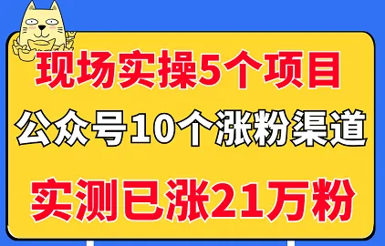 公众号项目实操指南：10大涨粉渠道揭秘，助您轻松获得数万粉丝！-网赚项目