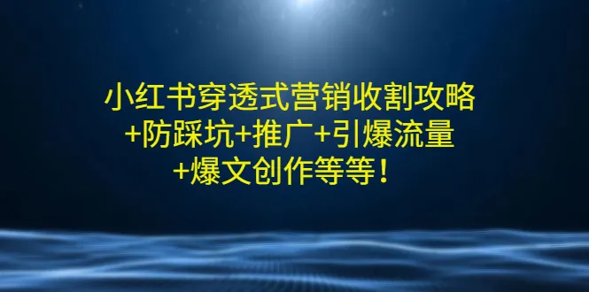 红书营销指南：深度剖析与避免陷阱-网赚项目