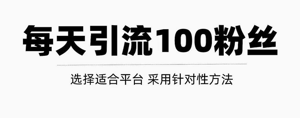 如何每天轻松获得100 精准粉丝？实用指南揭秘【视频教程】-网赚项目