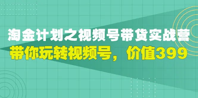 视频号直播电商运营攻略：从新手到高手-网赚项目