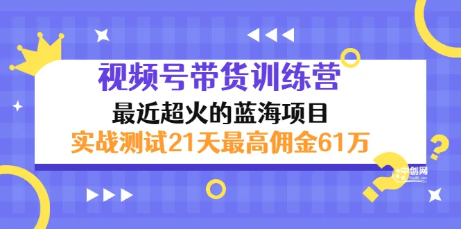 实战教程21天收获61万！揭秘外面收更多视频号带货训练营火爆秘诀-网赚项目