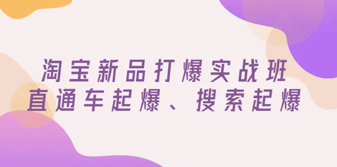 淘宝新品运营实战：如何通过直通车站台和搜索引擎优化实现爆款打造-网赚项目