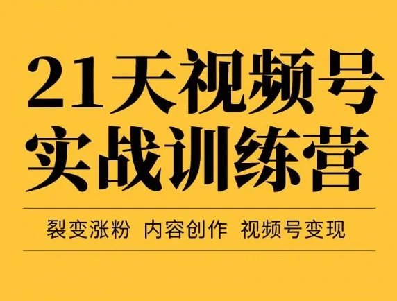 21天视频号实战训练营：裂变涨粉、内容创作、视频号变现的终极秘籍-网赚项目