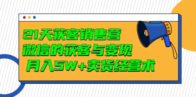 微信获客秘籍：21天快速卖出商品，月收入更多万 的经营技巧-网赚项目