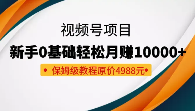 打造你的视频号帝国：从0到月收入更多 的视频号项目全攻略-网赚项目