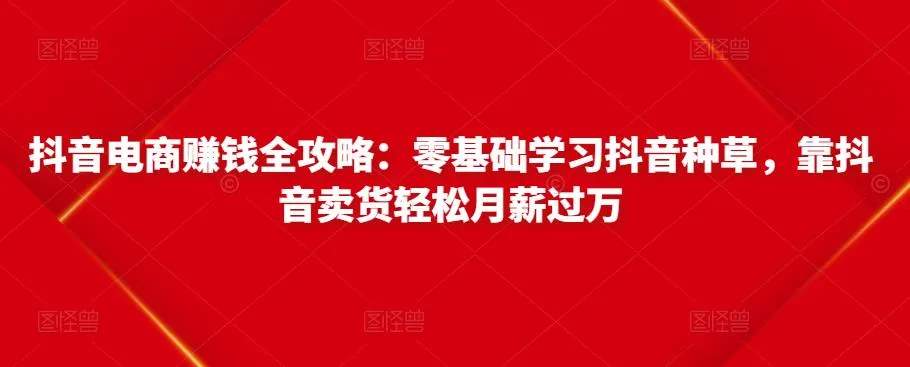 抖音电商赚钱全攻略：突破零基础，学会借势卖货，月薪更多不再是梦想！-网赚项目