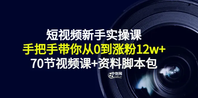 零基础快速上手！程教你成为拥有12万粉丝的短视频专家-网赚项目