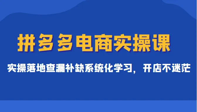 拼多多电商实战课程：299元掌握实操技巧，告别迷茫，打造爆款店铺！-网赚项目