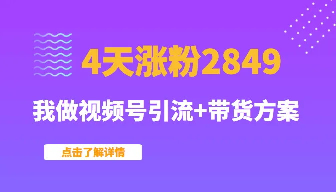 视频号引流   带货策略，4 天增长粉丝2849！-网赚项目