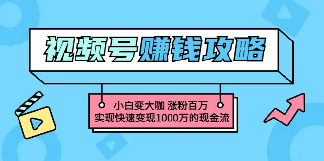 微信公众号运营指南：从小白到大咖，如何利用微信视频号快速吸金*万-网赚项目